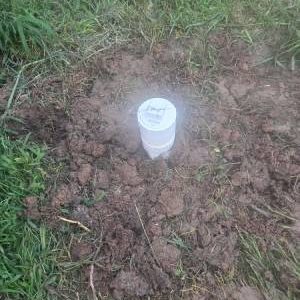 Sewage Backup
